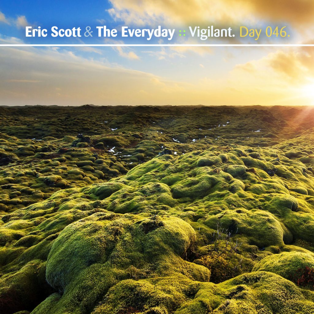“Vigilant” by Eric Scott & The Everyday [Day 046]