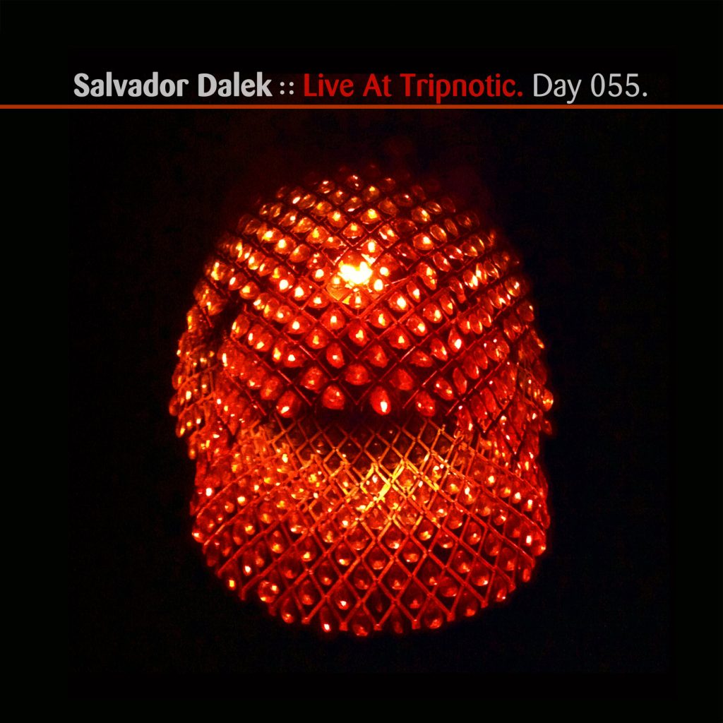 “Trypnotica” Mixes by Salvador Dalek [Day 055]