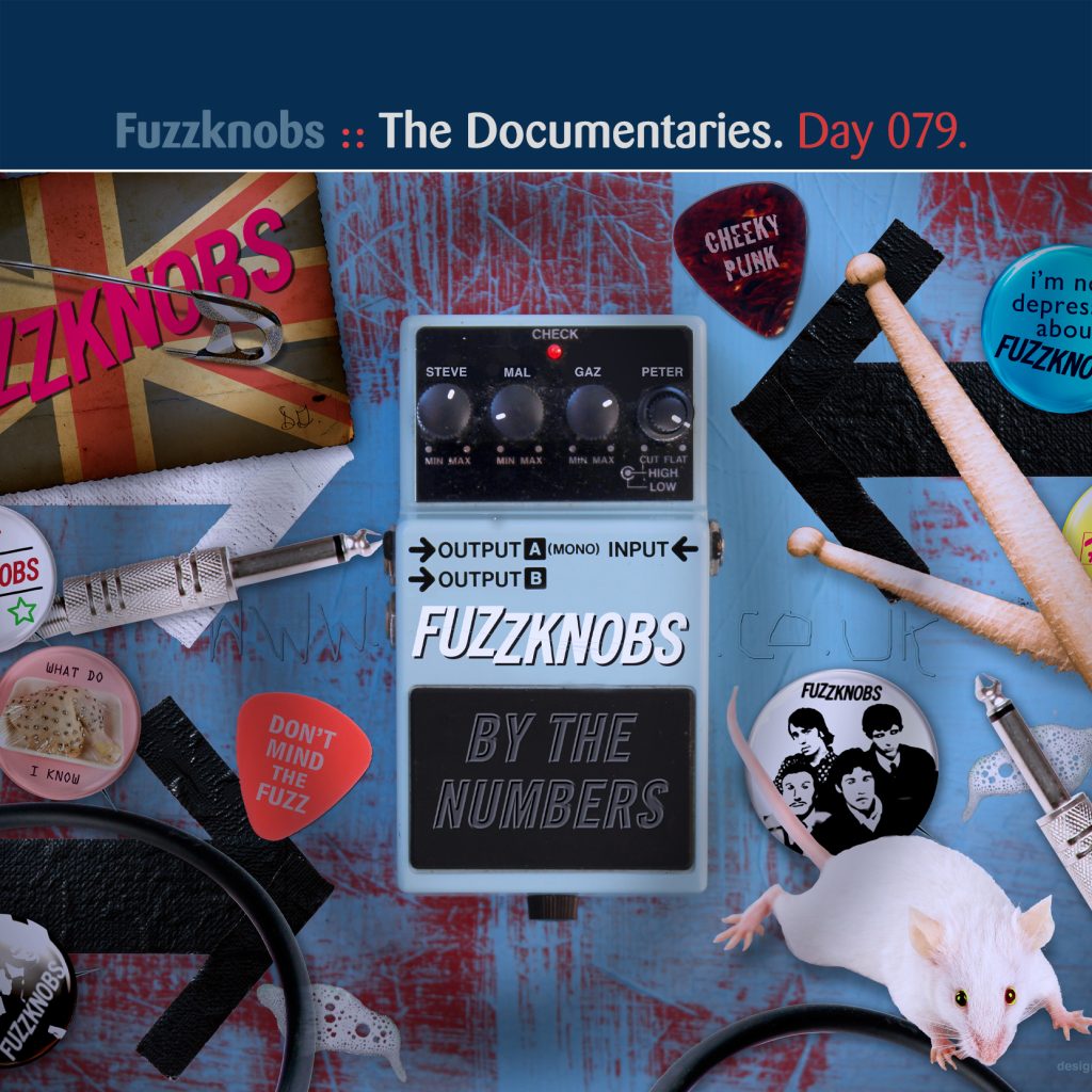“Fuzzknobs By The Numbers” by Fuzzknobs [Day 079]