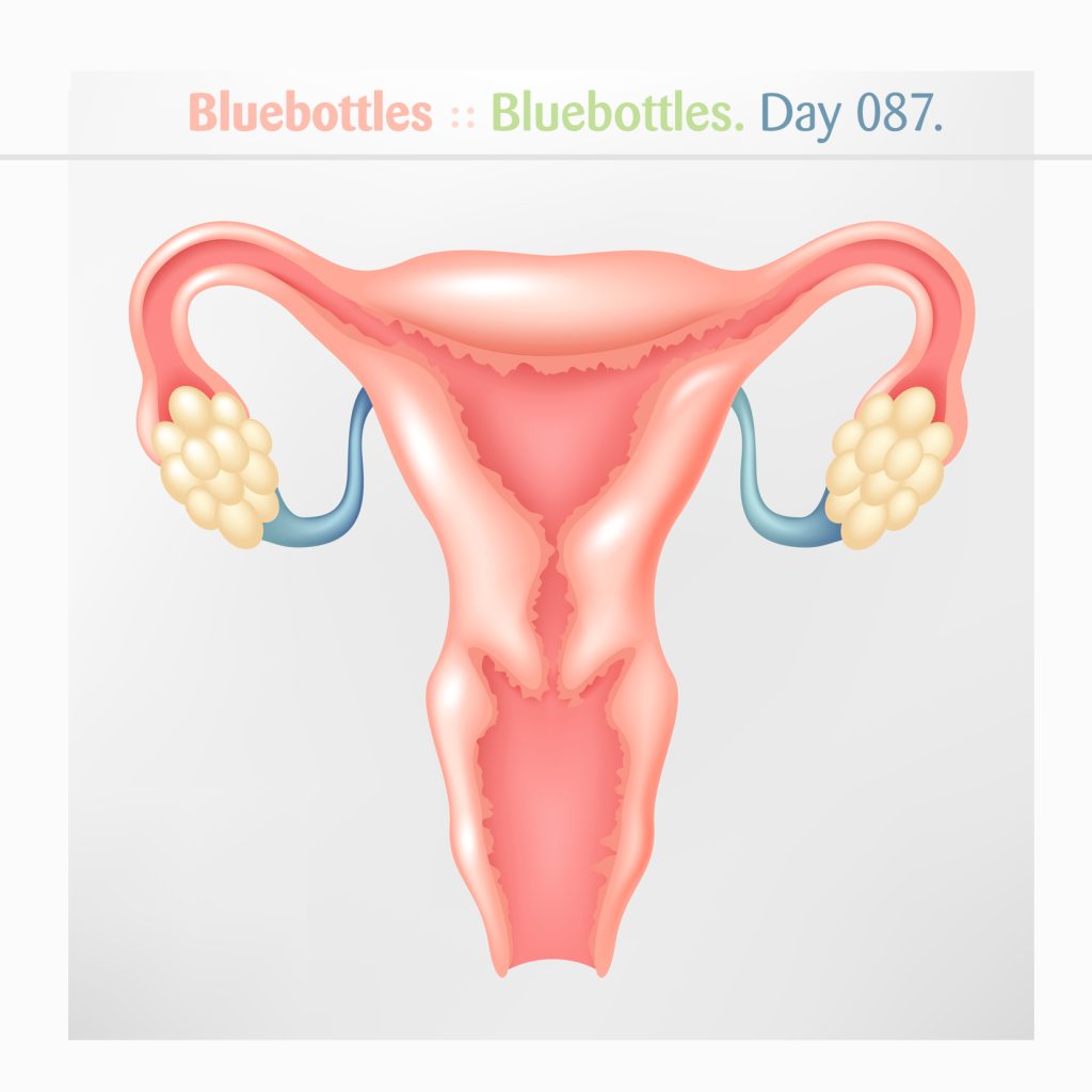 “Menopuzzle” by Bluebottles [Day 087]